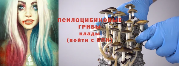 индика Белокуриха