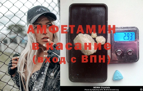индика Белокуриха
