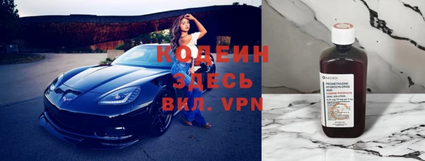 индика Белокуриха