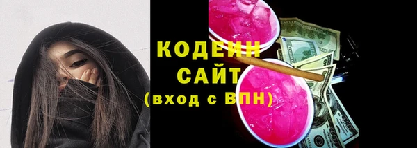 индика Белокуриха