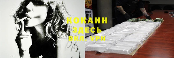 индика Белокуриха
