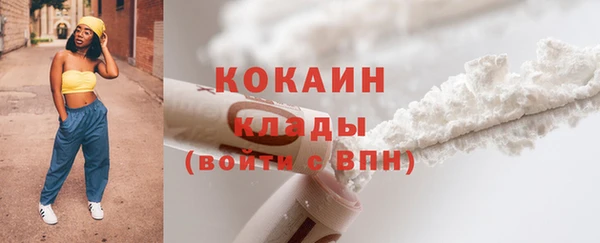 индика Белокуриха