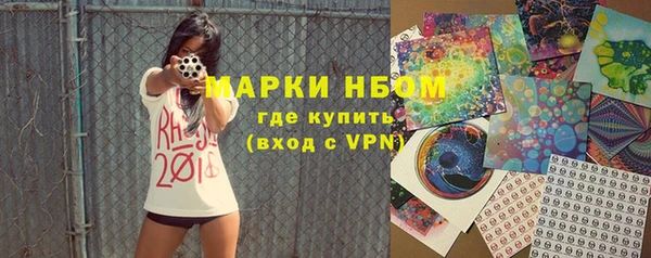 индика Белокуриха