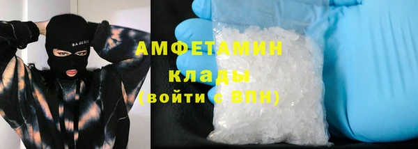 индика Белокуриха