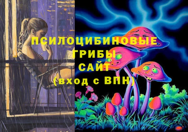 индика Белокуриха