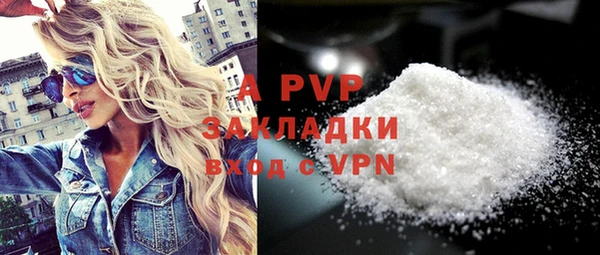 индика Белокуриха