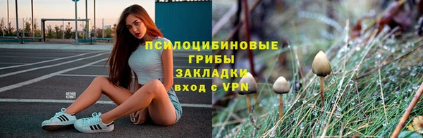амф Беломорск