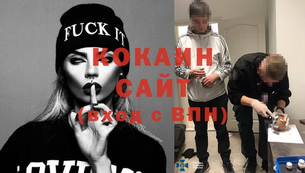 индика Белокуриха