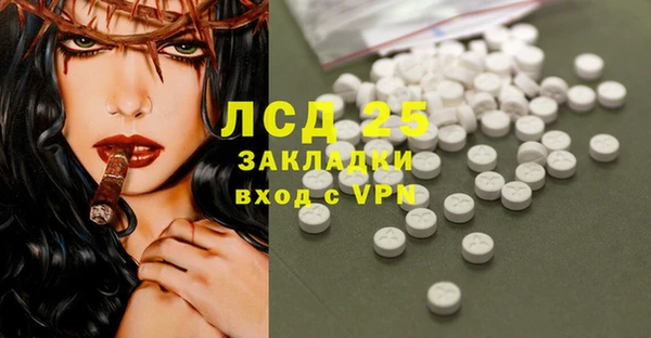 индика Белокуриха